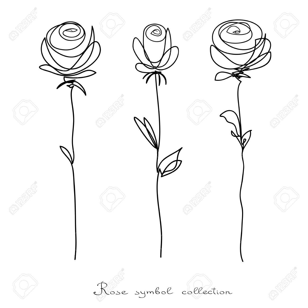 バラ 白い背景の分離の花のコレクションをスケッチします 連続線落書きデザイン のイラスト素材 ベクタ Image