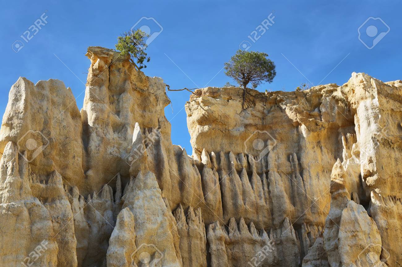 Les Orgues De Ille Sur Tet
