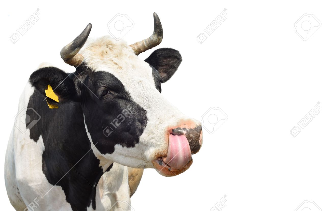 Boob community flash type Lick out black