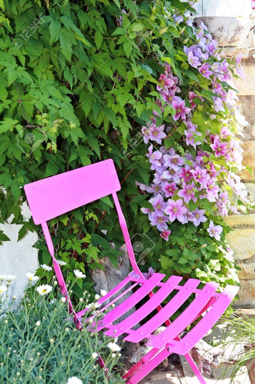 Clématite Rose Et Chaise De Jardin Rose Banque D\'Images Et Photos ... Clématite Rose Et Chaise De Jardin Rose Banque D\'Images Et Photos ...
