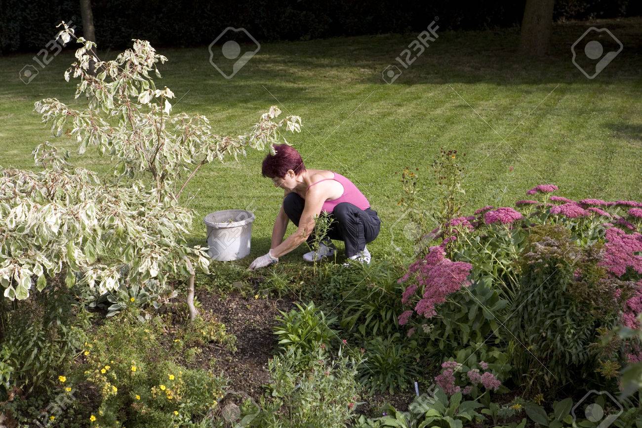 庭で作業しゃがみこむ女 の写真素材 画像素材 Image