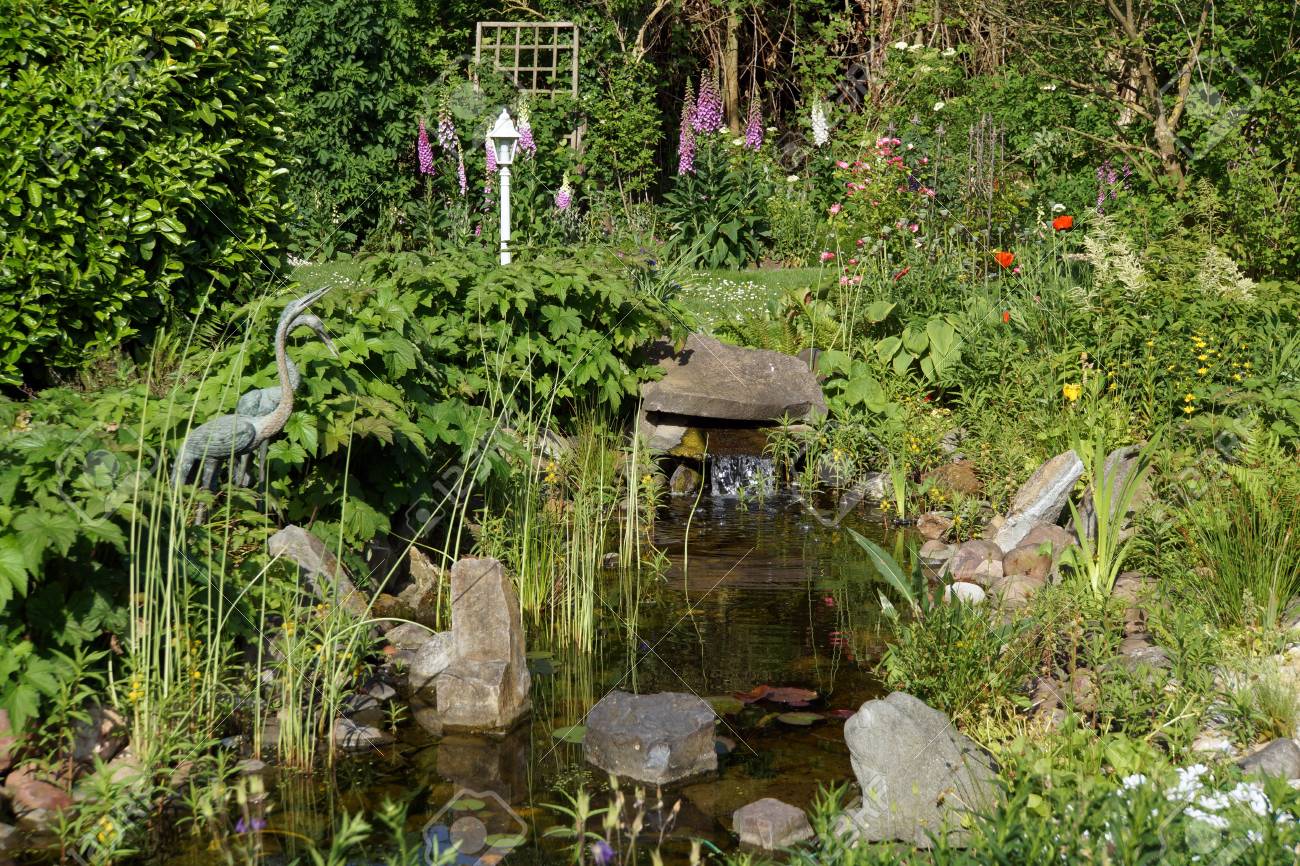 In Der Nahe Der Natur Gartenteich Mit Kleinen Wasserfall Lizenzfreie Fotos Bilder Und Stock Fotografie Image 79782868