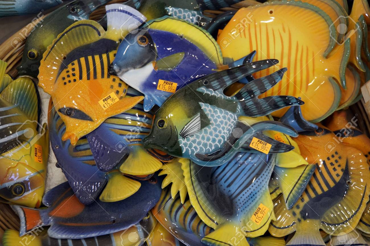 typical tropical fish