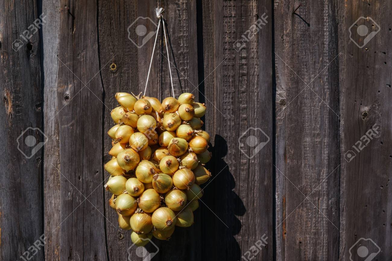 Cebolla Teje En Una Guirnalda Estan Colgando De La Pared De Madera