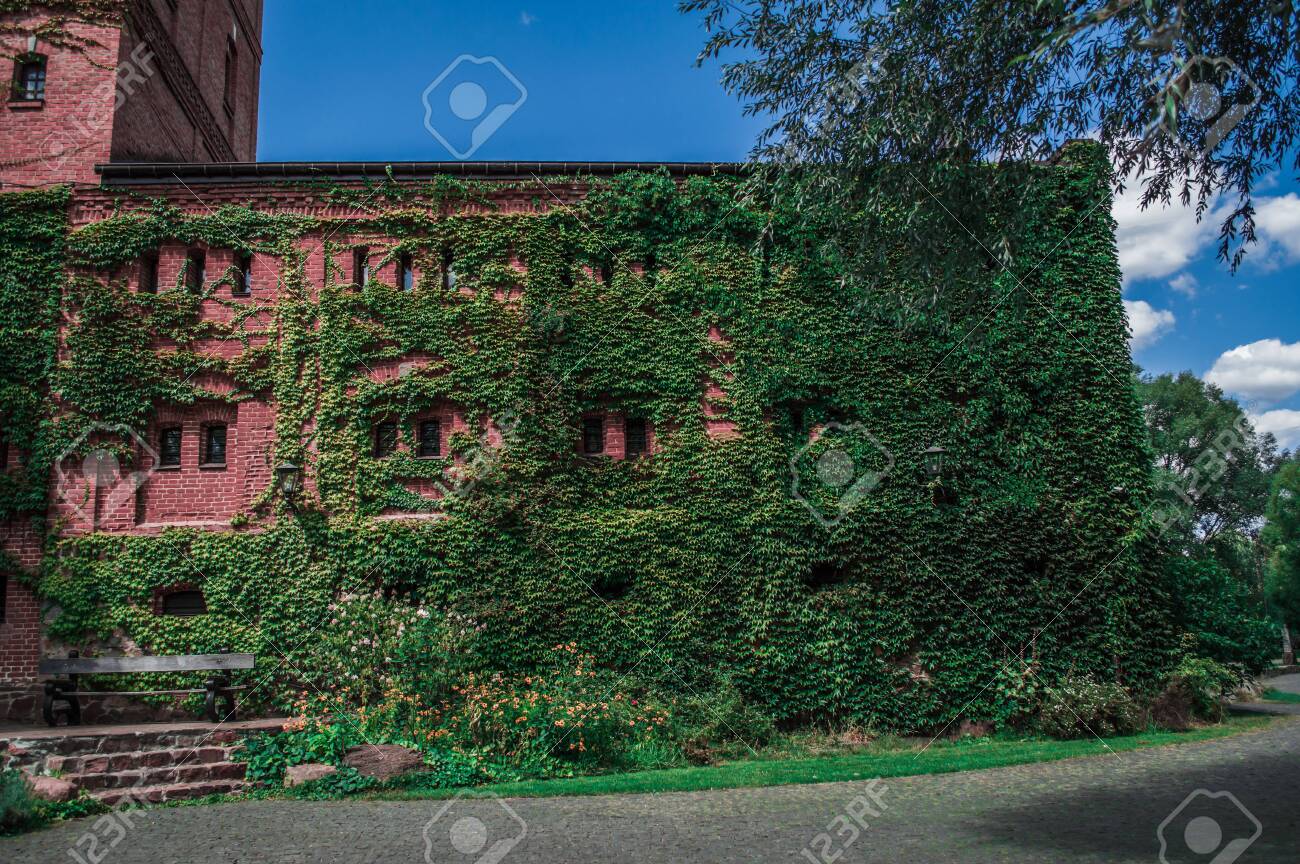 etiam-dictum-ipsum-a-felis