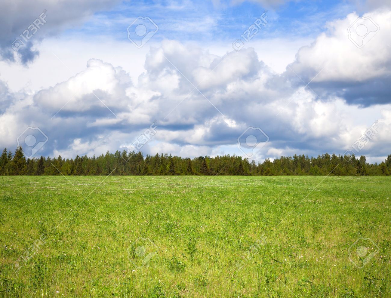 rural landscape background cloudy sky over bright green meadow horizon background
