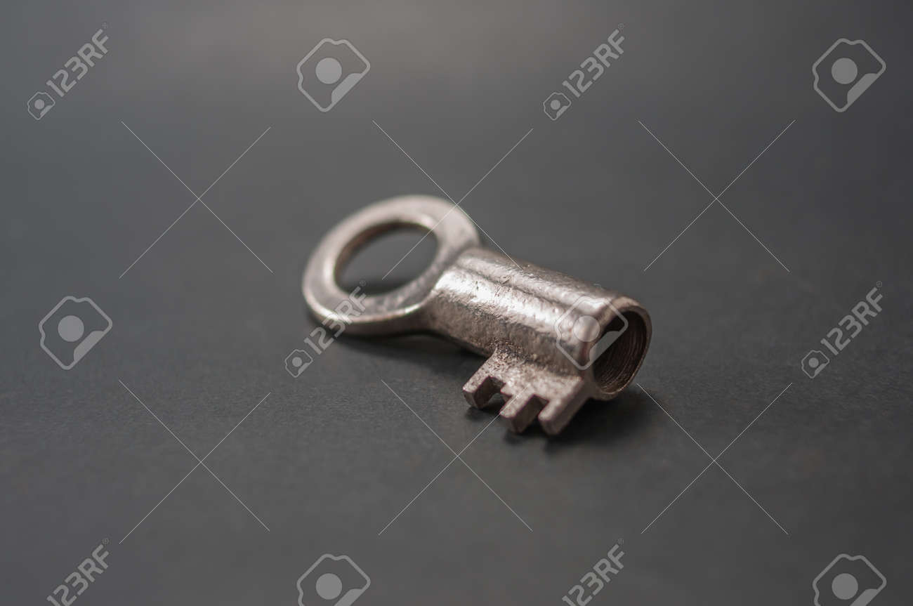 etiam-dictum-ipsum-a-felis