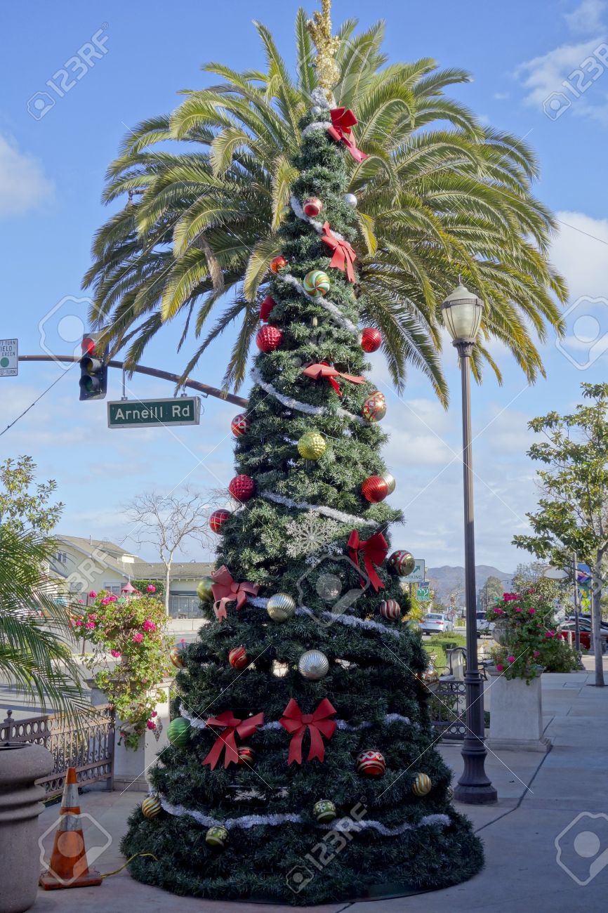 christmas tree in front