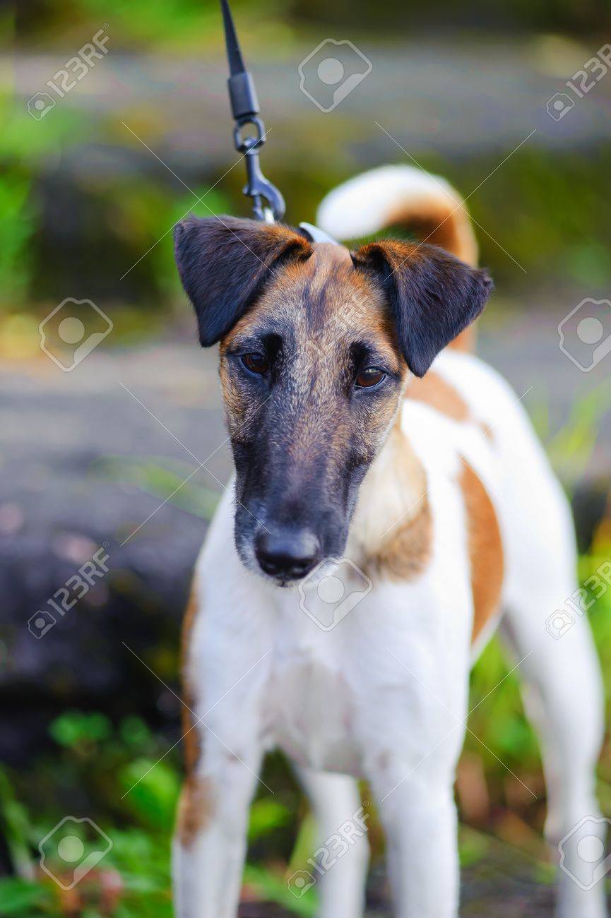 quiet time crate cover