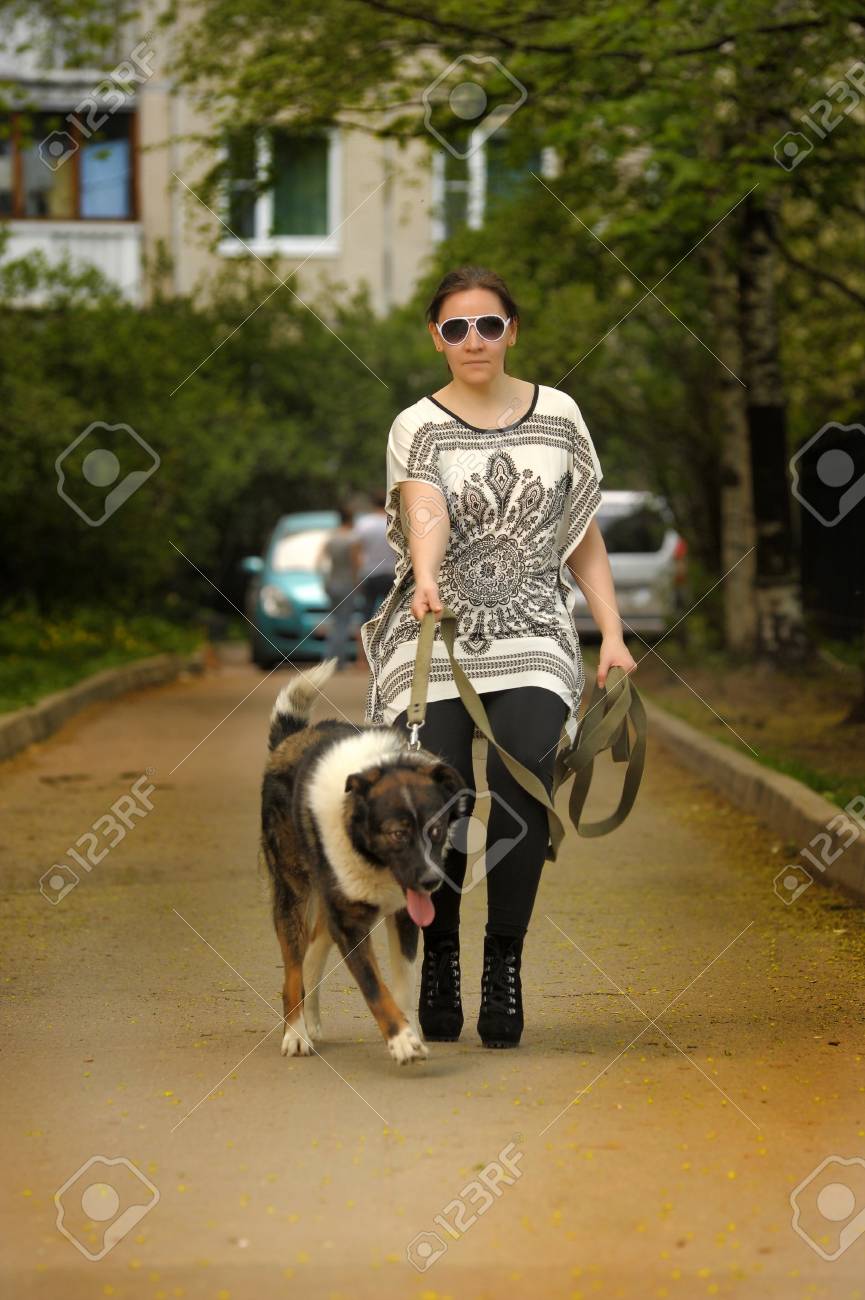 彼女の犬を連れて歩いて女性 の写真素材 画像素材 Image