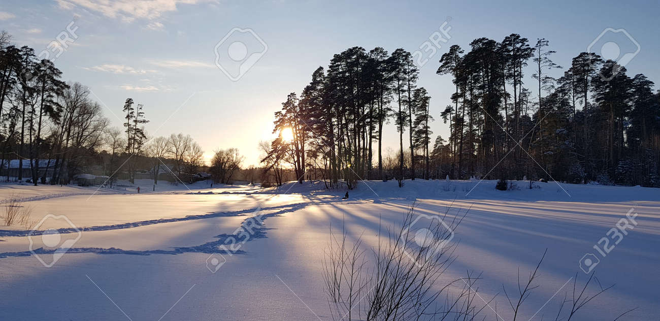 sunset in winter and long shadows from trees in the snow - 126180843 sunset in winter and long shadows from trees in the snow - 126180843