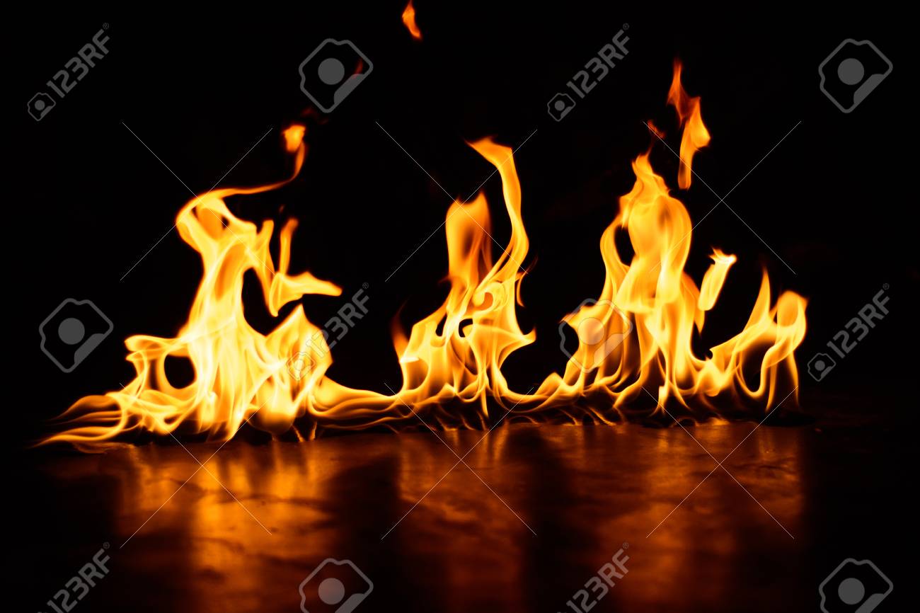 etiam-dictum-ipsum-a-felis