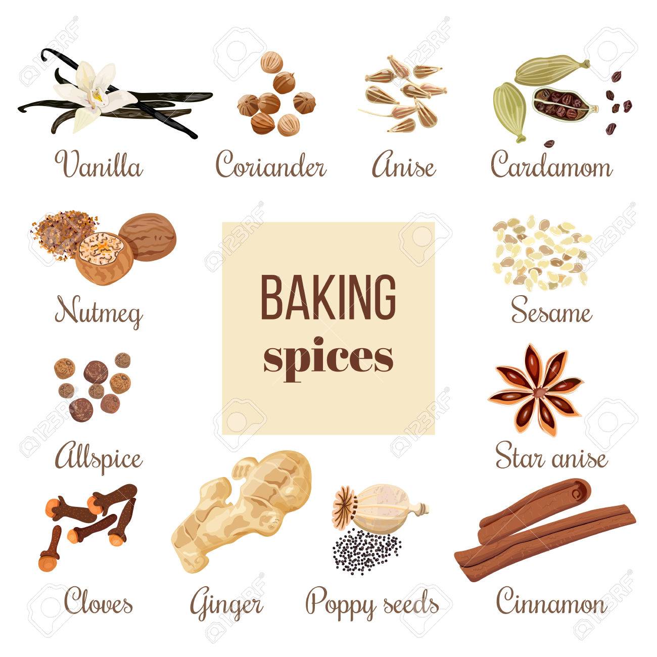 大きなスパイスをバックアップを正方形のラベルを設定します 料理の調味料 を束します 料理 化粧品 ベーカリー 焼く店 パン 自然健康食品 デザイン 価格タグ ラベルとして使用することができます のイラスト素材 ベクタ Image