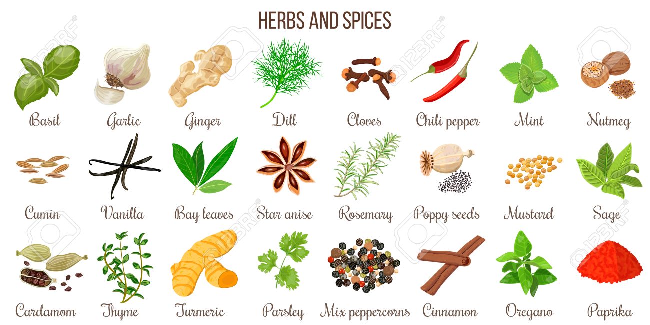 Big Vector Set Of Popular Culinary 