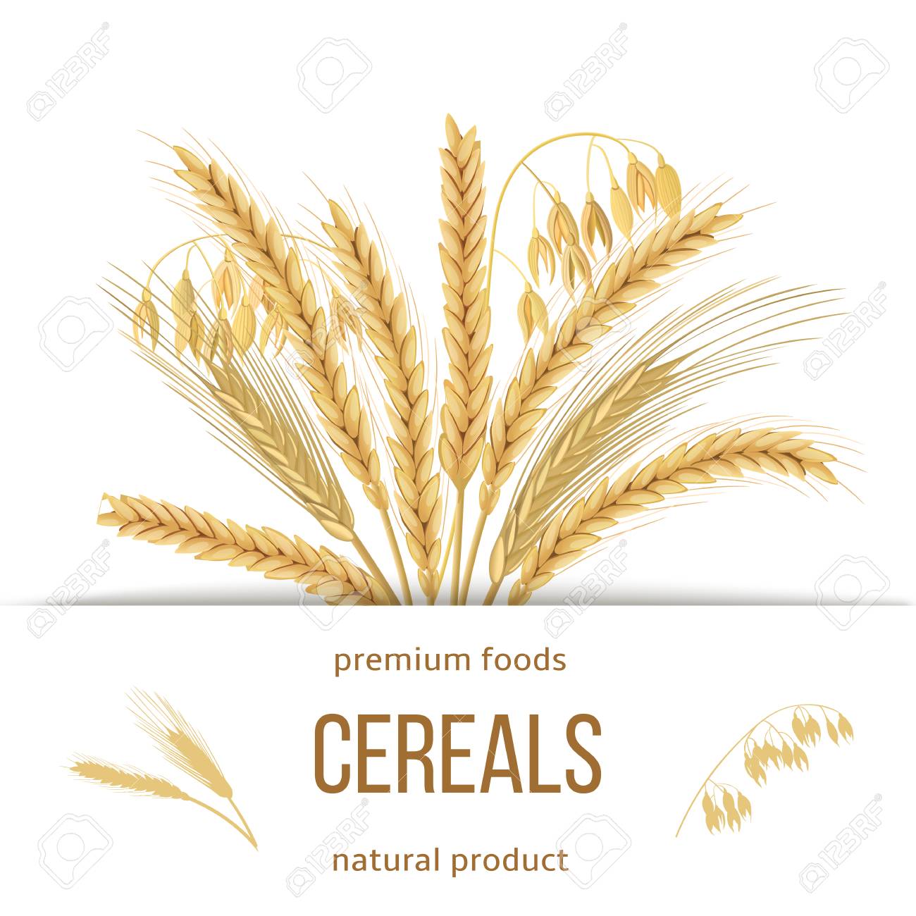 小麦 大麦 オート麦 ライ麦を設定します 耳 束とテキストのプレミアム食品 天然物と 4 つの穀物穀物 3 D のアイコン ベクトル 水平方向ラベル デザイン 料理 ベーカリー タグ ラベル 繊維ののイラスト素材 ベクタ Image