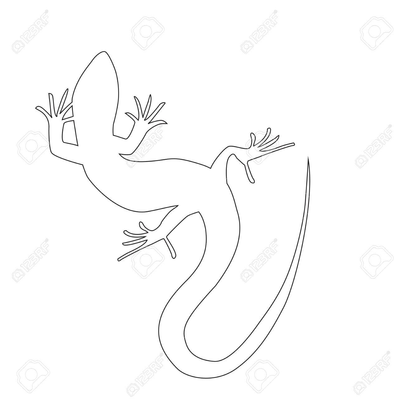 美しいモノクロのトカゲは トカゲのシルエット アウトライン図サンショウウオ ベクトル図 のイラスト素材 ベクタ Image