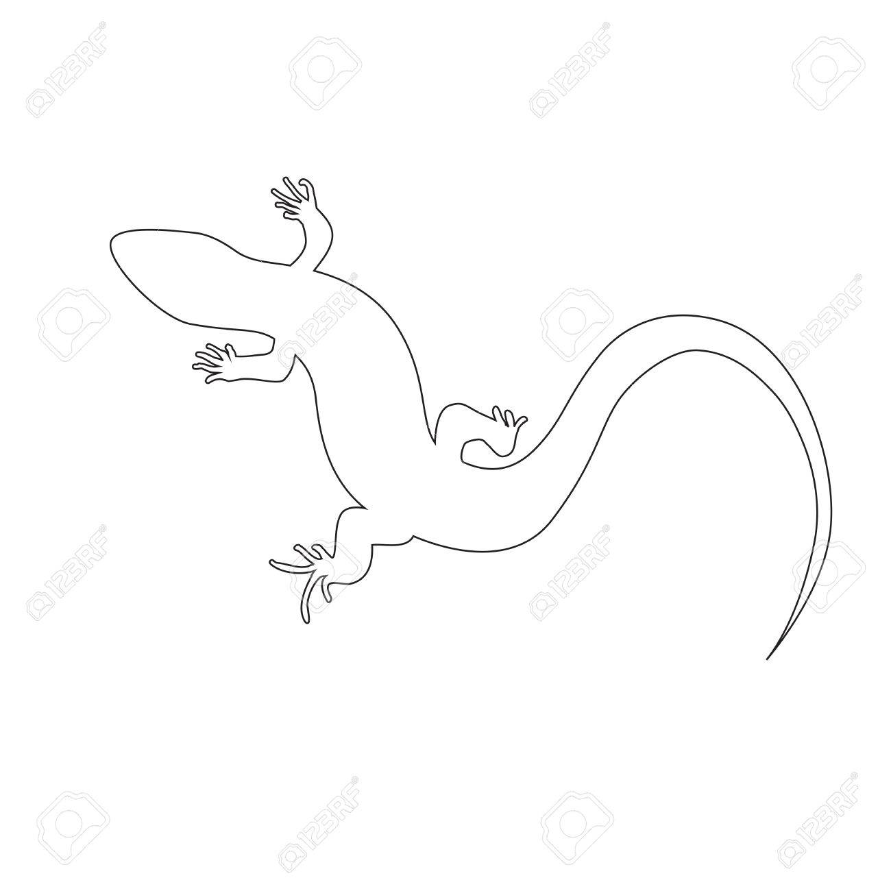美しいモノクロのトカゲは トカゲのシルエット アウトライン図サンショウウオ ベクトル図 のイラスト素材 ベクタ Image
