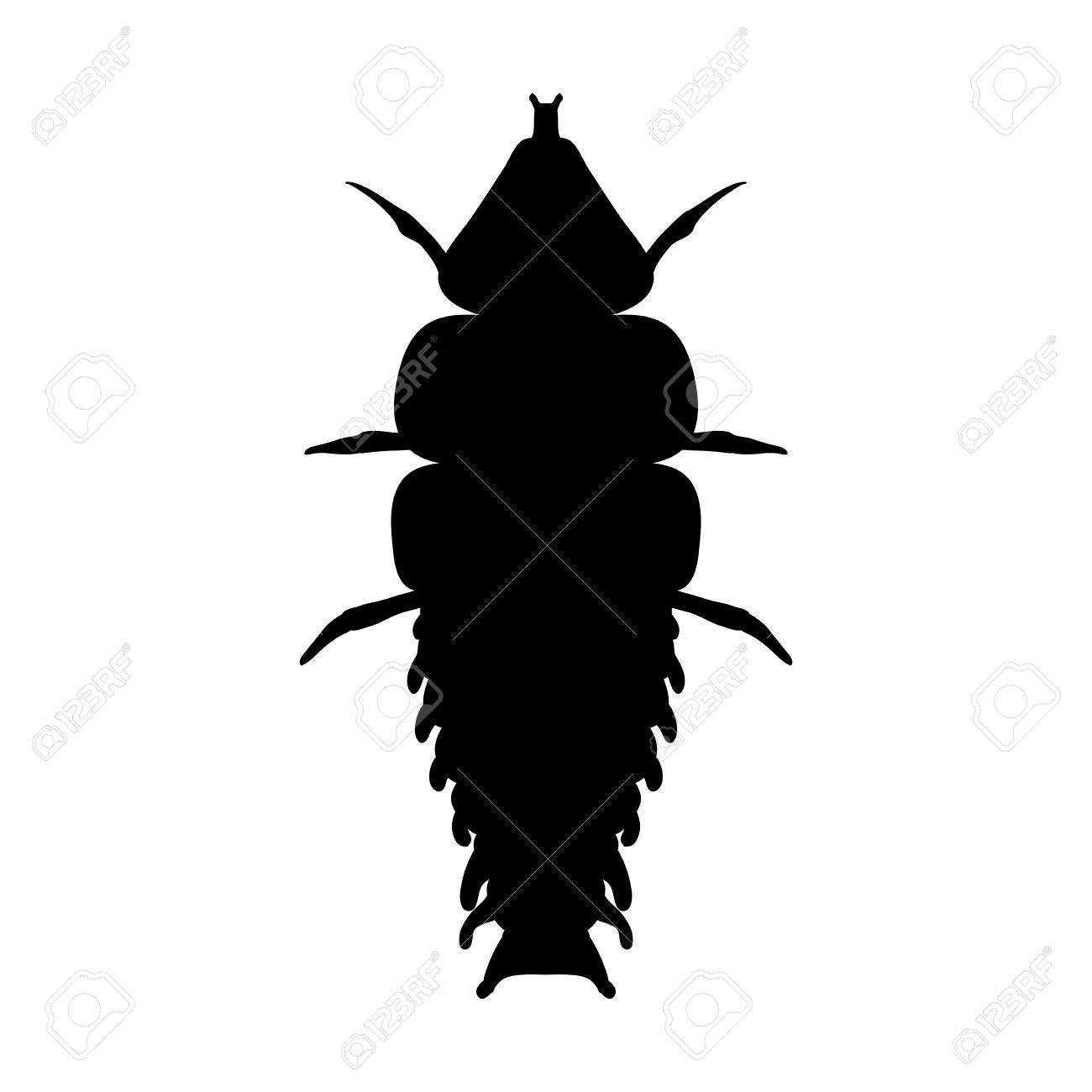 拡大鏡の昆虫 三葉虫カブトムシ Duliticola Platerodrilus 三葉虫カブトムシのスケッチ 三葉虫は 塗り絵のデザインをカブトムシします のイラスト素材 ベクタ Image 53773553