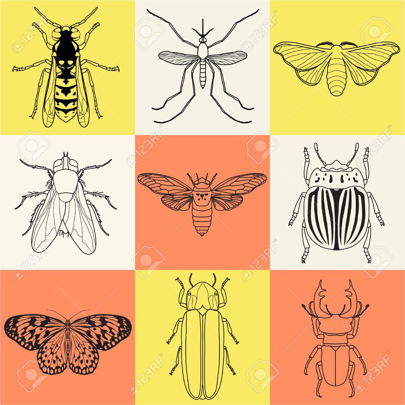 Insekt Icons Gesetzt Zikade Und Hirschkafer Gluhwurmchen Und Wespen Fliegen Und Paperkite Schmetterling Kartoffelkafer Und Mucken Illustration Lizenzfrei Nutzbare Vektorgrafiken Clip Arts Illustrationen Image 60230642
