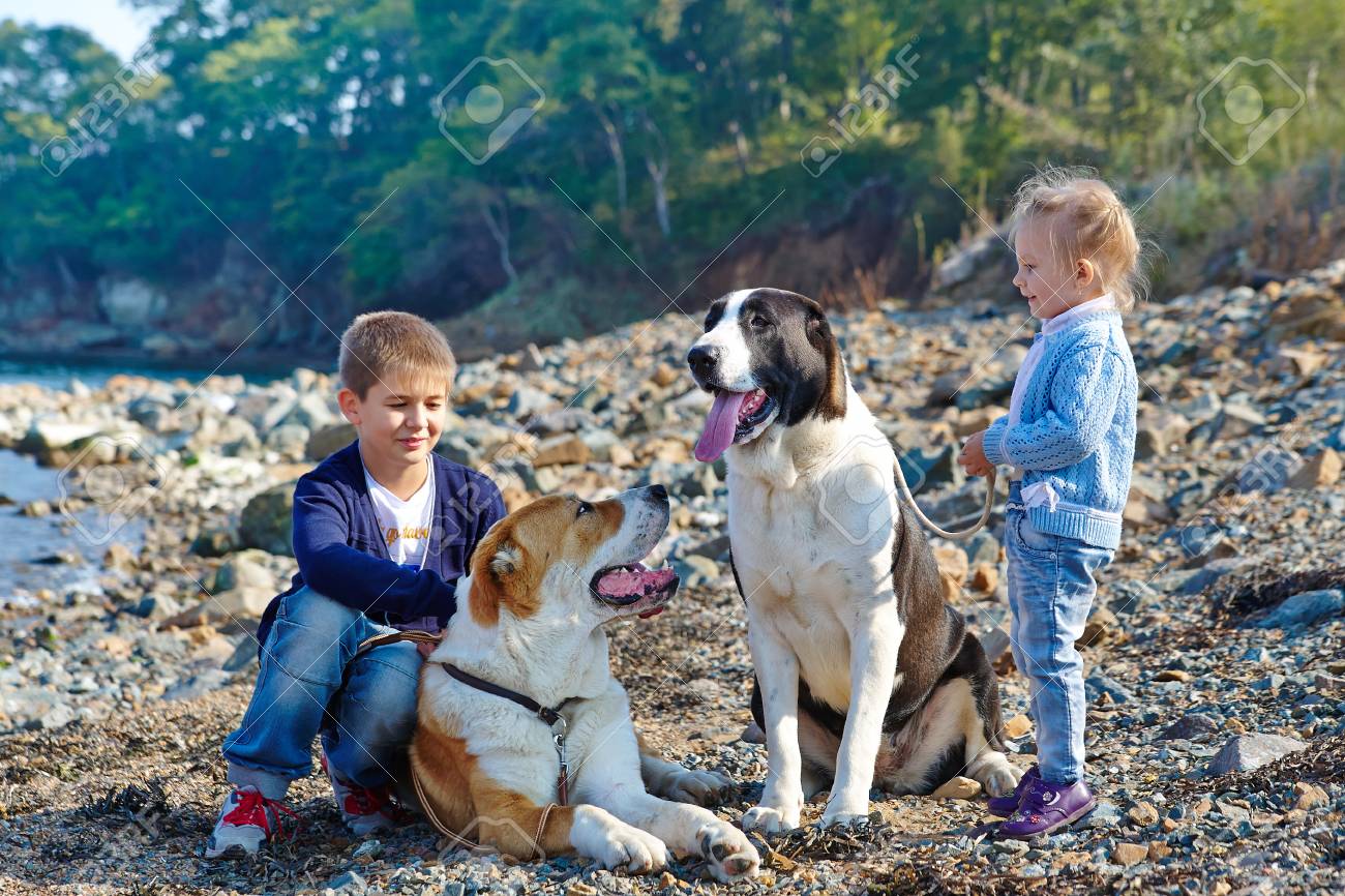 2 人の子供 海岸に 2 つの大型犬 の写真素材 画像素材 Image