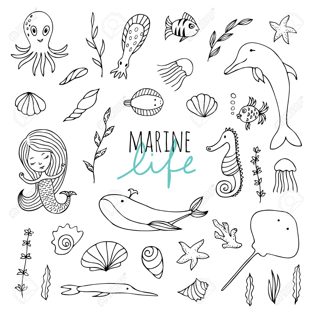 Vector Set Of Marine Life Fish Mermaid Sea Animals Hand Drawn
