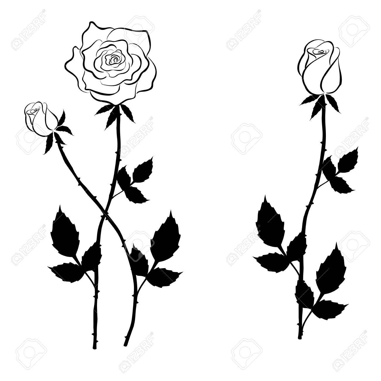 black rose tattoo vector