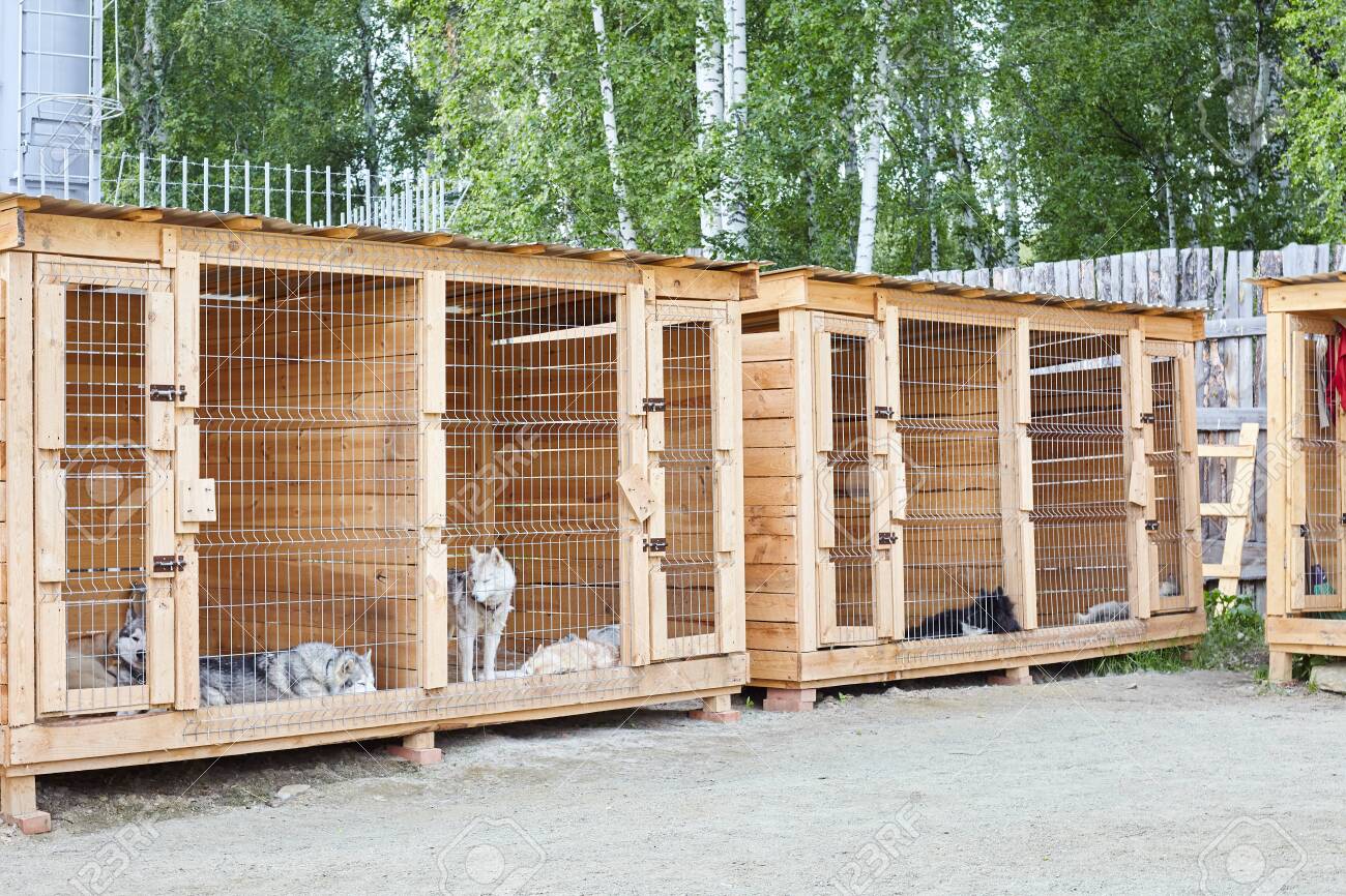 dog kennels