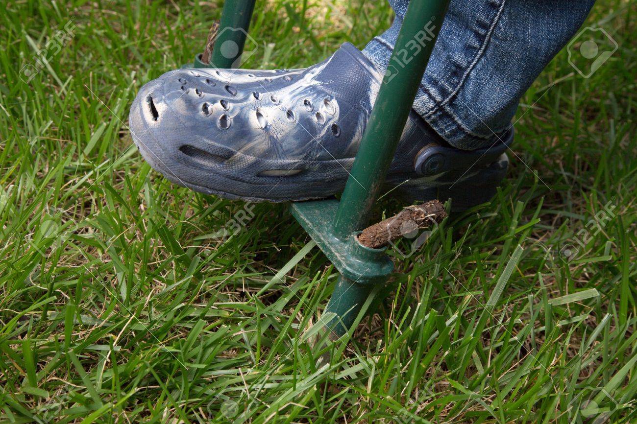 Woman is aerating lawn by manual aerator in back yard - 19409709 Woman is aerating lawn by manual aerator in back yard - 19409709