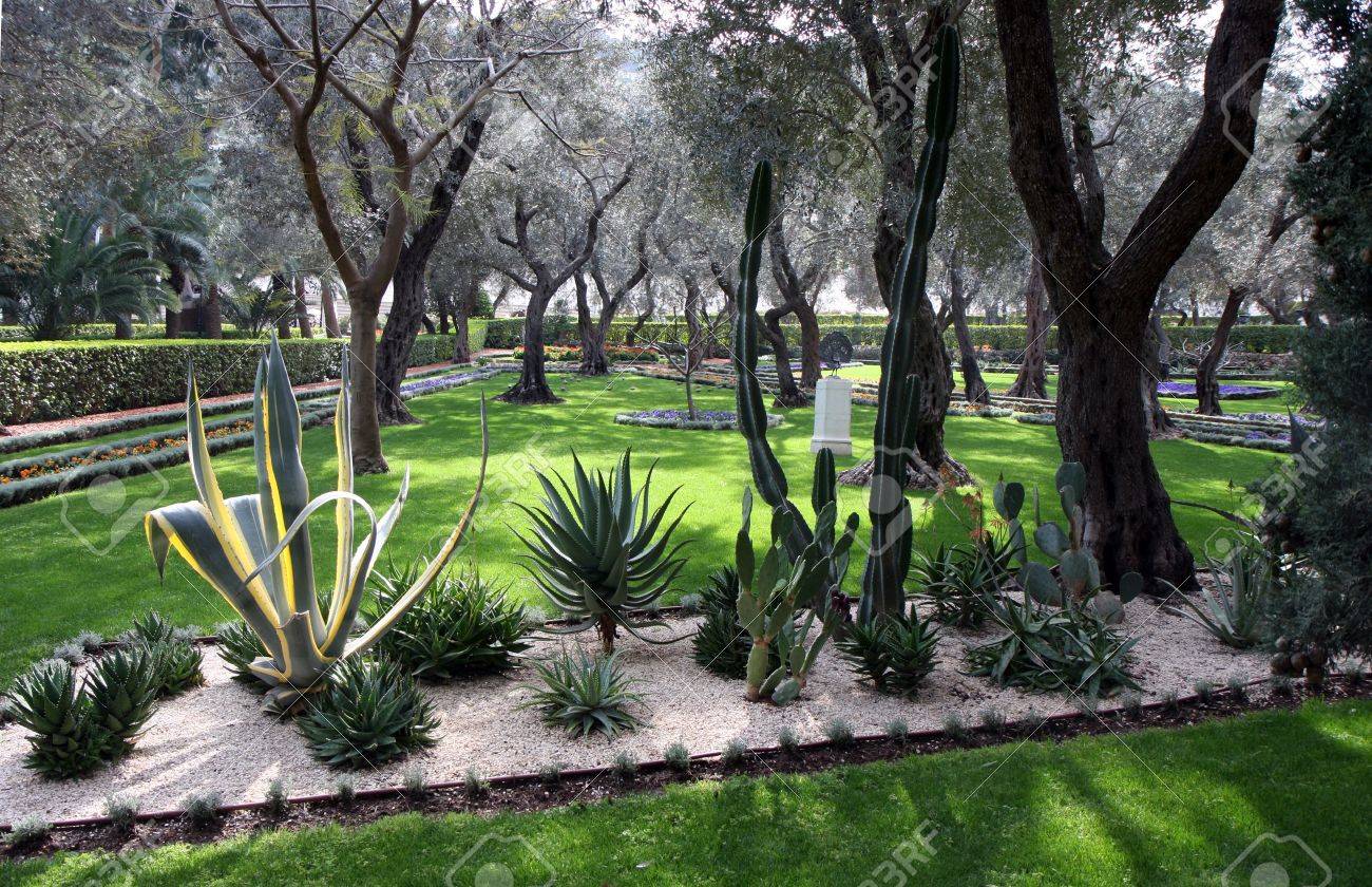 Cactus Gardens Cactus Gardens