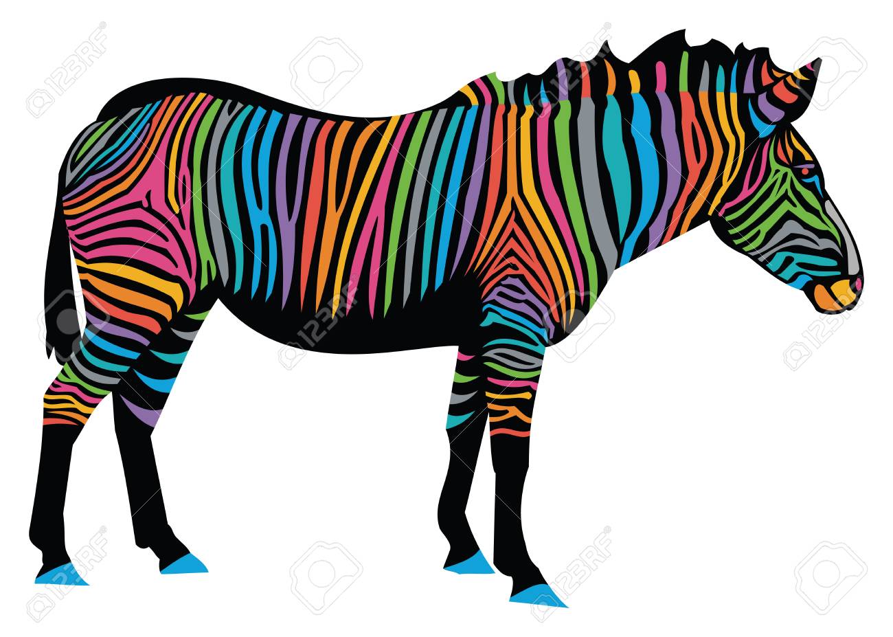 Zebra With Rainbow Stripes. Royalty Free SVG, Cliparts, Vectors, and Stock  Illustration. Image 88674235.
