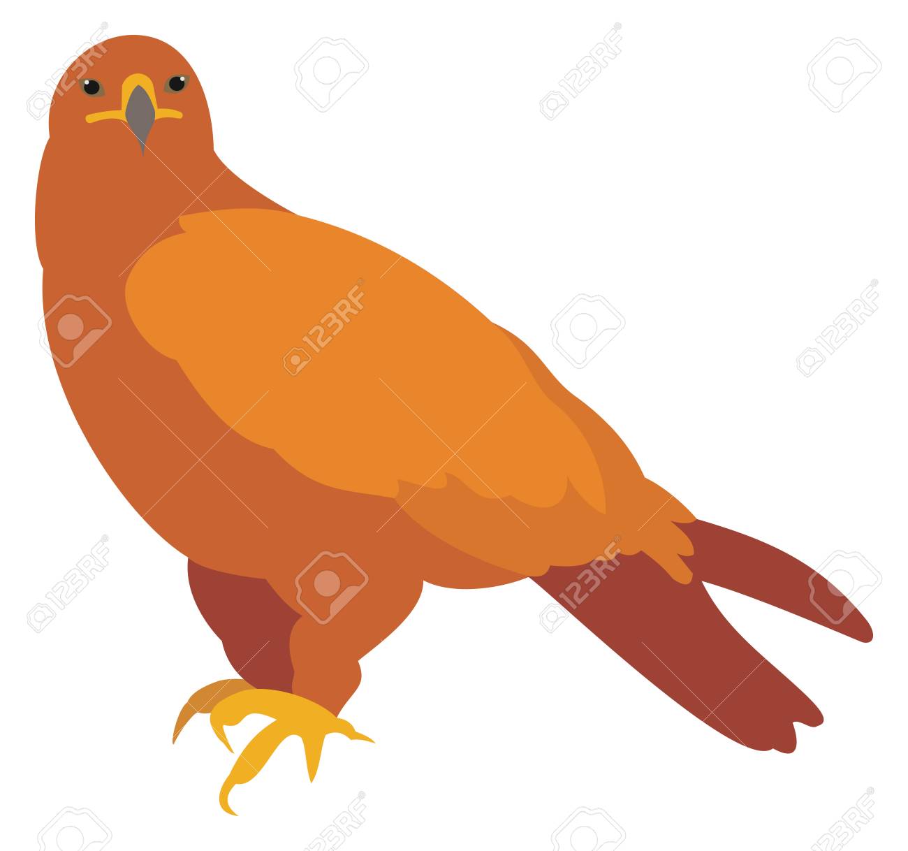 Golden Eagle On White Background Vector Illustration