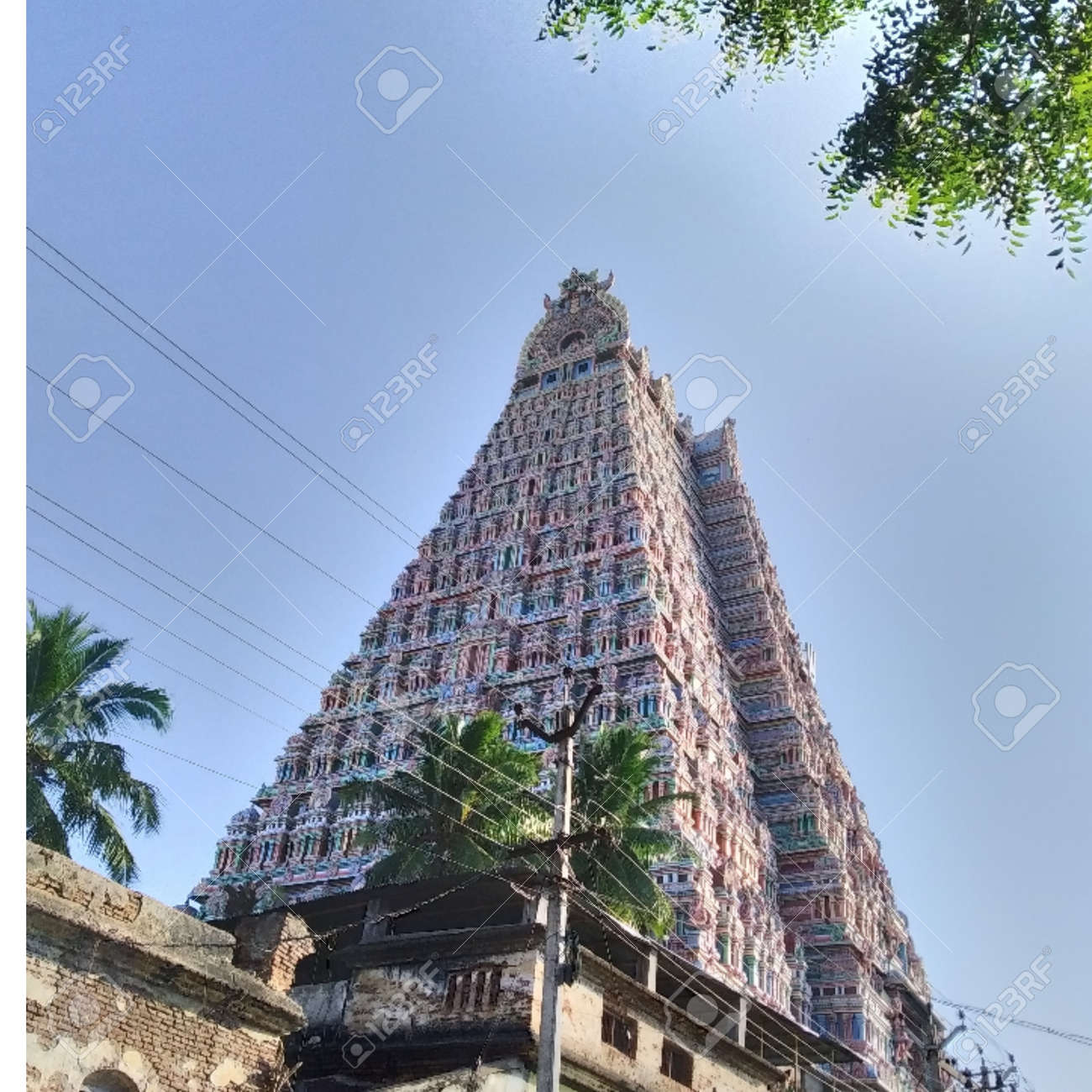 etiam-dictum-ipsum-a-felis