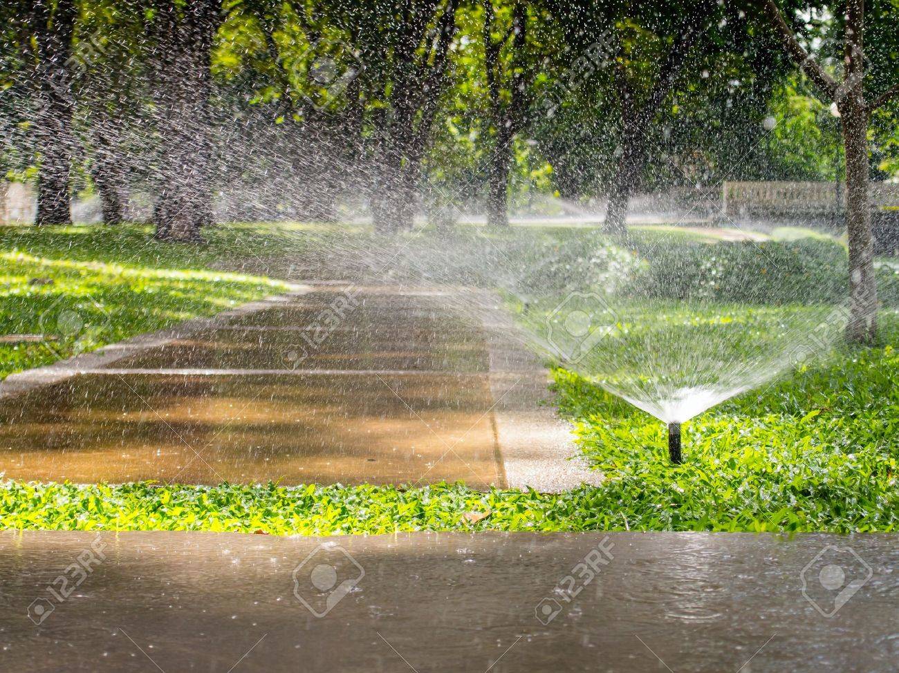 自動スプリンクラーの庭の水まき の写真素材 画像素材 Image