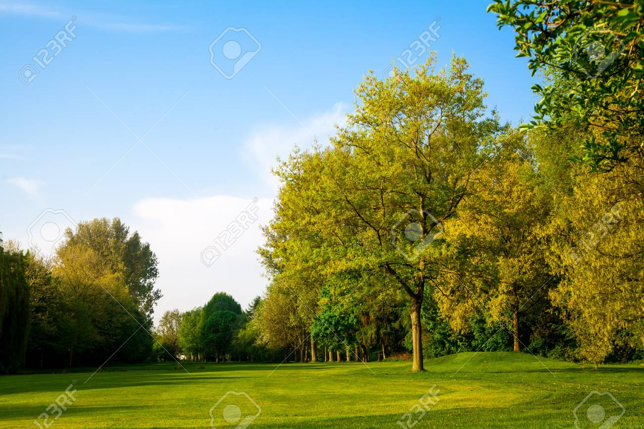 Schone Sommer Landschaft Grunen Wiese Und Baumen Lizenzfreie Fotos Bilder Und Stock Fotografie Image