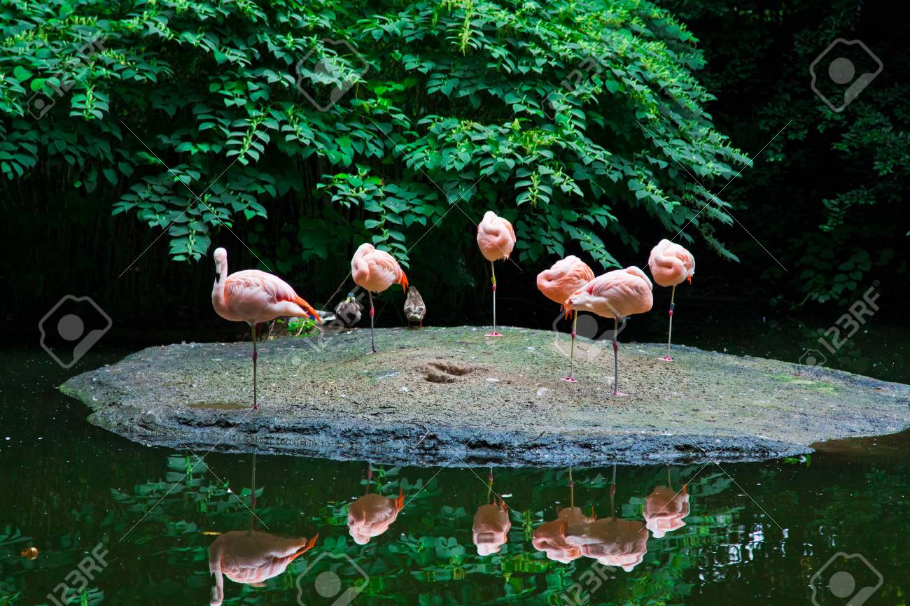 etiam-dictum-ipsum-a-felis