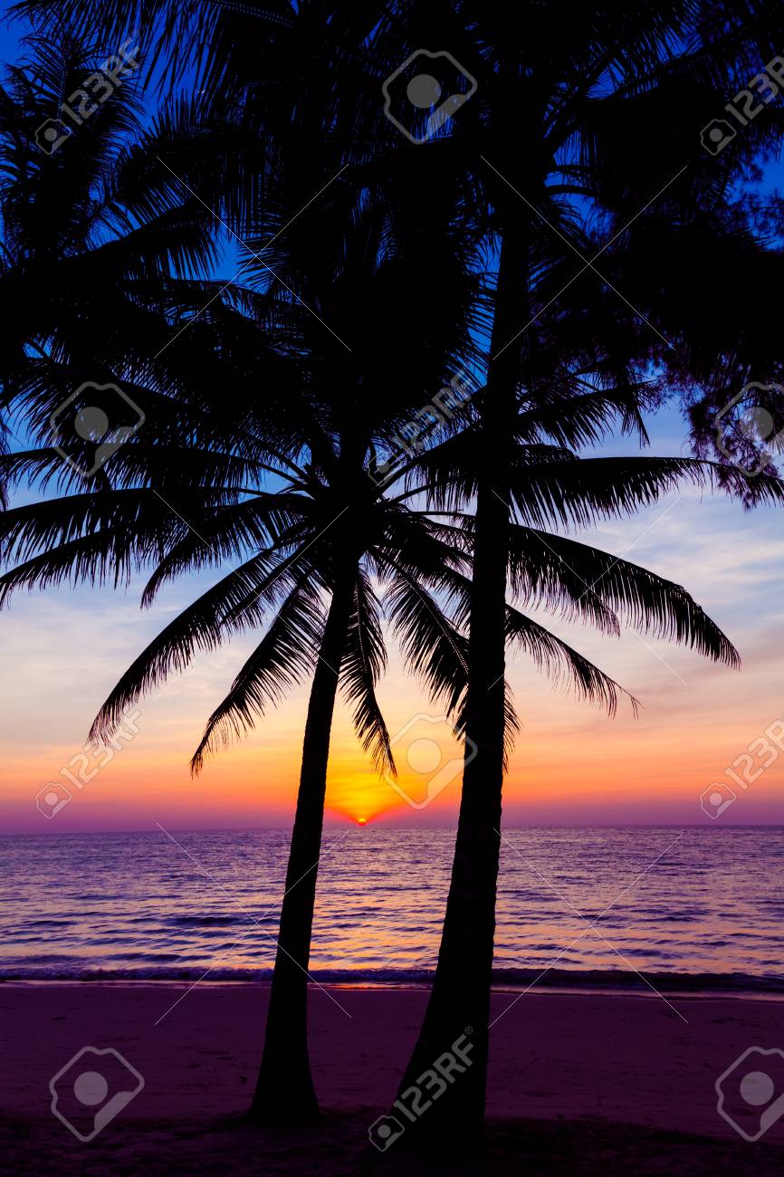 Sunset On The Beach Sunset Over The Tropical Beach Stock Photo Picture And Royalty Free Image Image