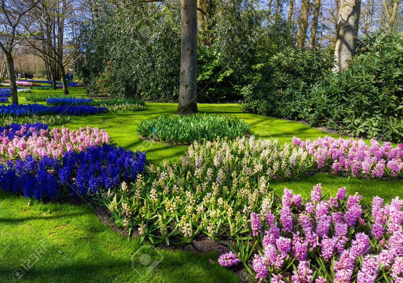 Beautiful Garden. Garden Landscape. Landscape Design Stock Photo ... Beautiful Garden. Garden Landscape. Landscape Design Stock Photo ...