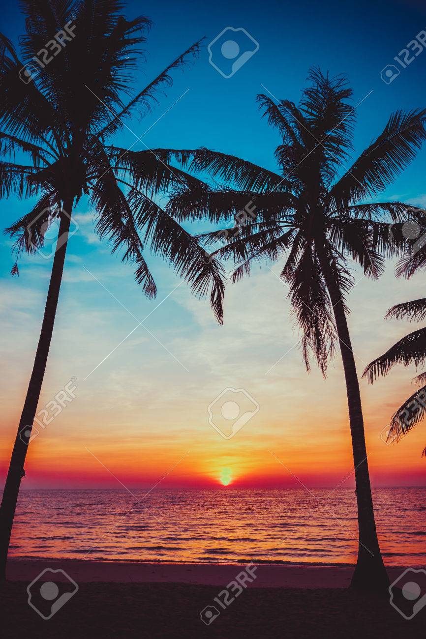 Sunset Tropical Beach Beautiful Sunset Stock Photo Picture And Royalty Free Image Image