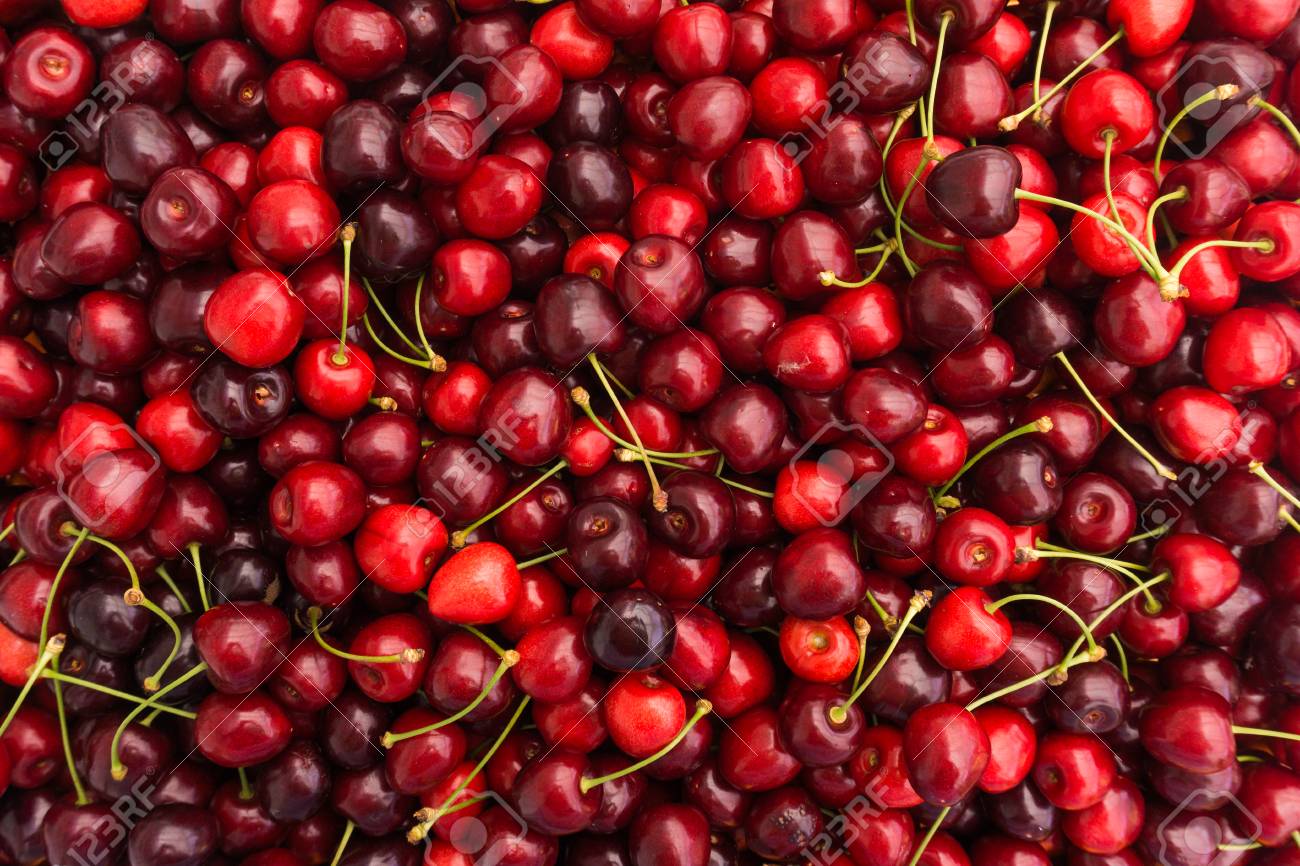 Red Cherries. Cherry selection - 52975950