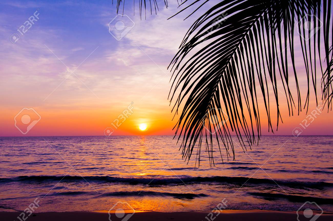 Sunset Landscape Beach Sunset Palm Trees Silhouette On Sunset Tropical Beach Stock Photo Picture And Royalty Free Image Image 66133816