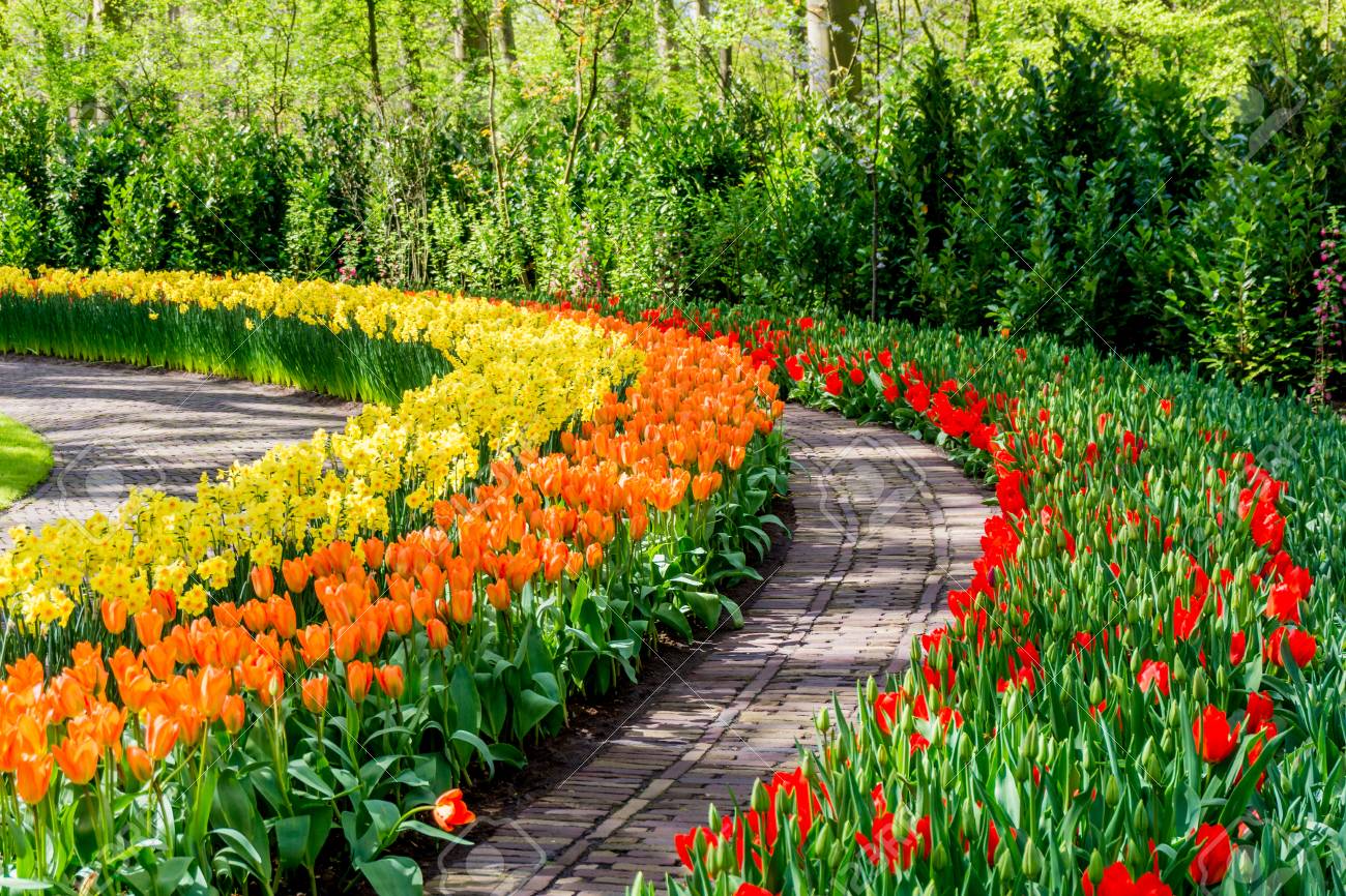 Paysage De Printemps. Arrire-plan De Nature Printemps. Magnifique Jardin  Banque D'Images Et Photos Libres De Droits. Image 74437153.