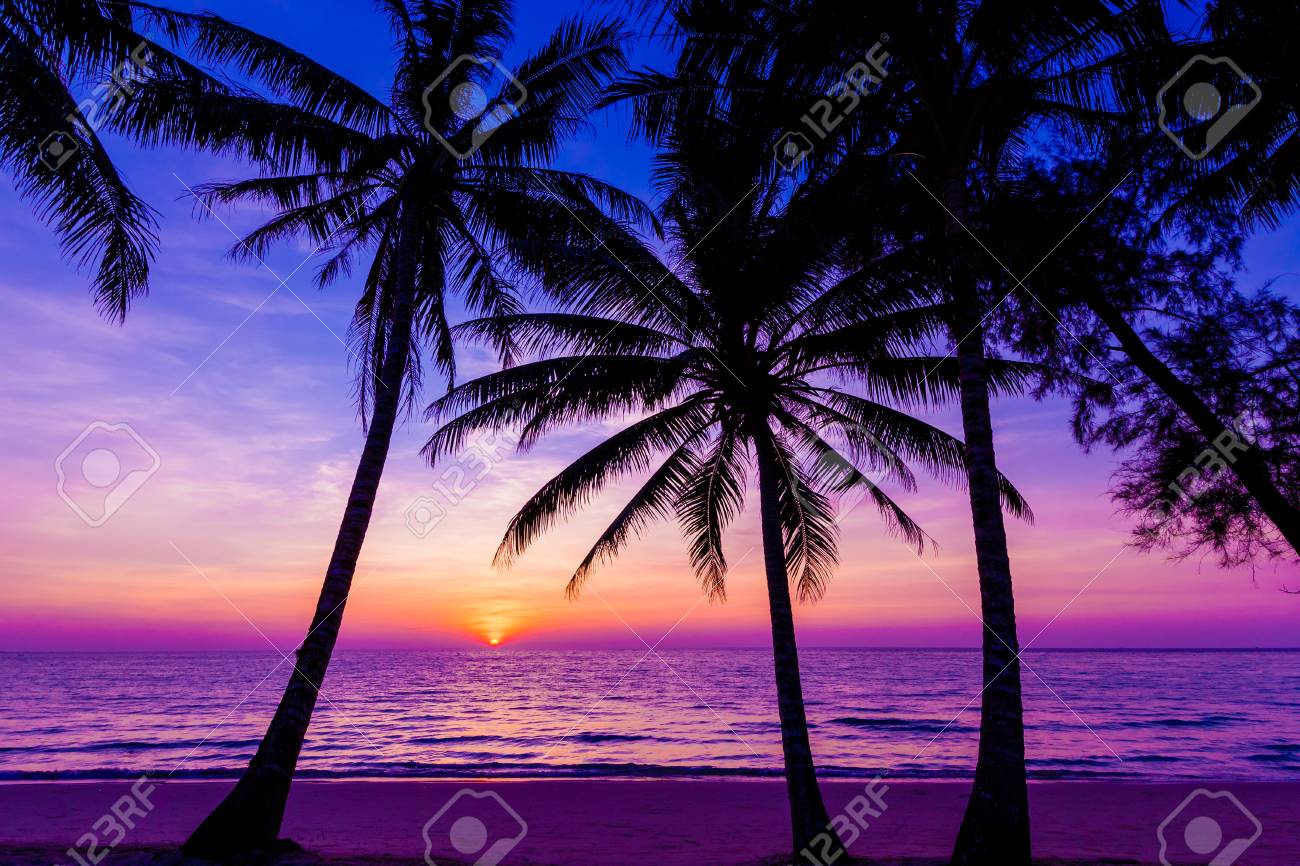 Palm Trees Silhouette At Sunset Sunset And Beach Beautiful Stock Photo Picture And Royalty Free Image Image