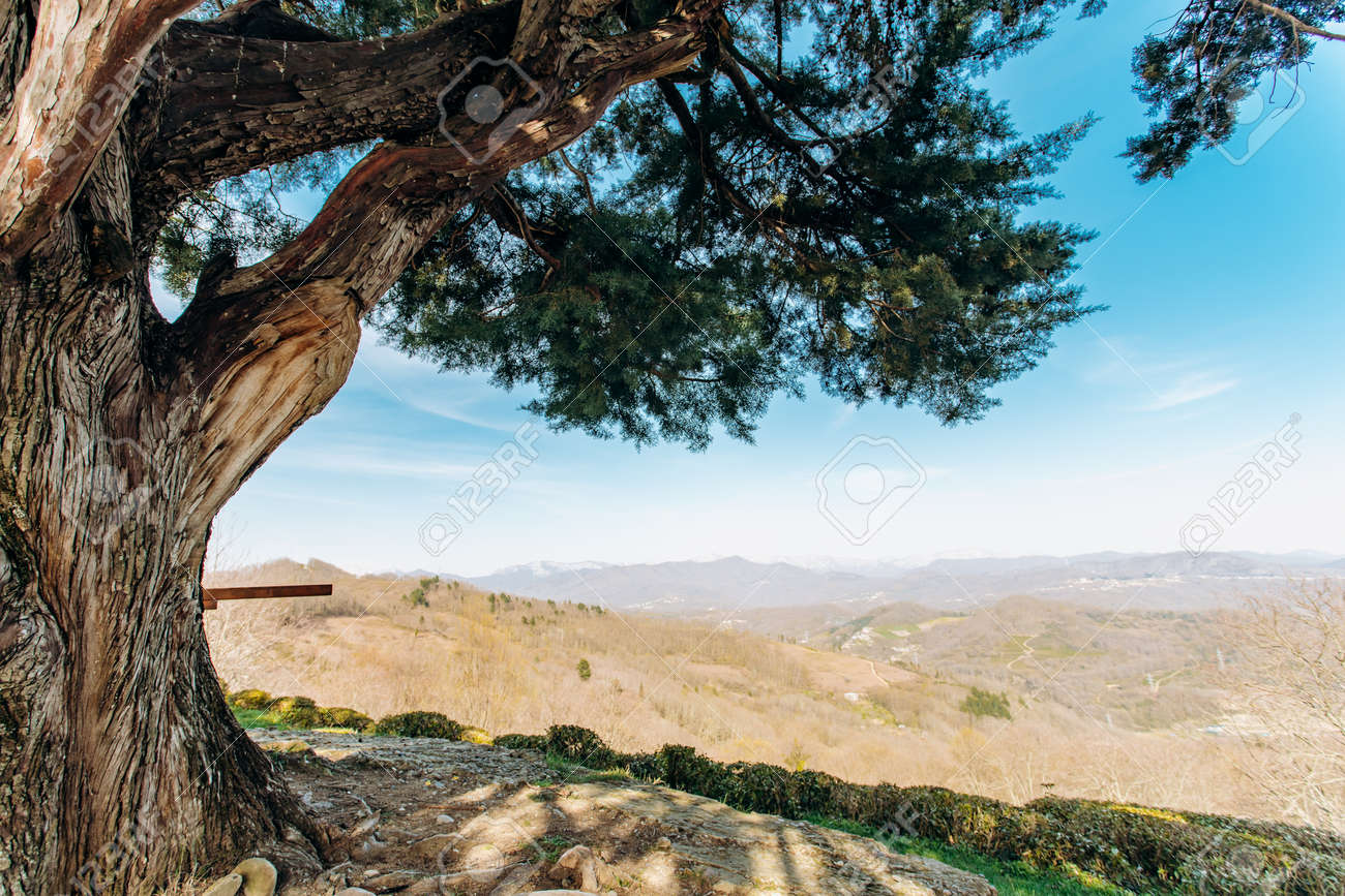 Mountain view 山の景色 【公式通販】