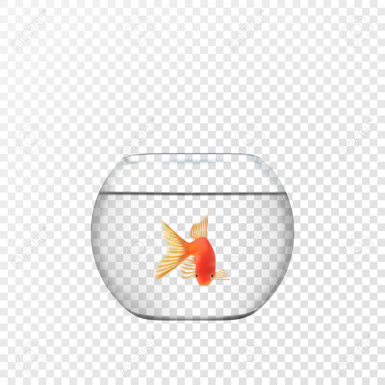 Poisson Rouge Unique Nageant Dans Un Bol En Verre Rond Transparent Aquarium Image Realiste Imprimer Illustration Vectorielle Clip Art Libres De Droits Vecteurs Et Illustration Image