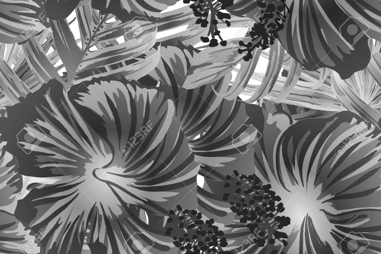 Black white exotic pattern monstera leaves and hibiscus flowers