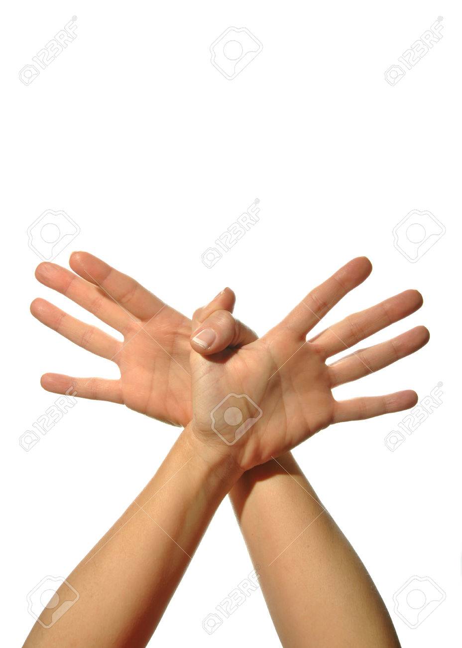mudra hands poses on white background stock photo picture and