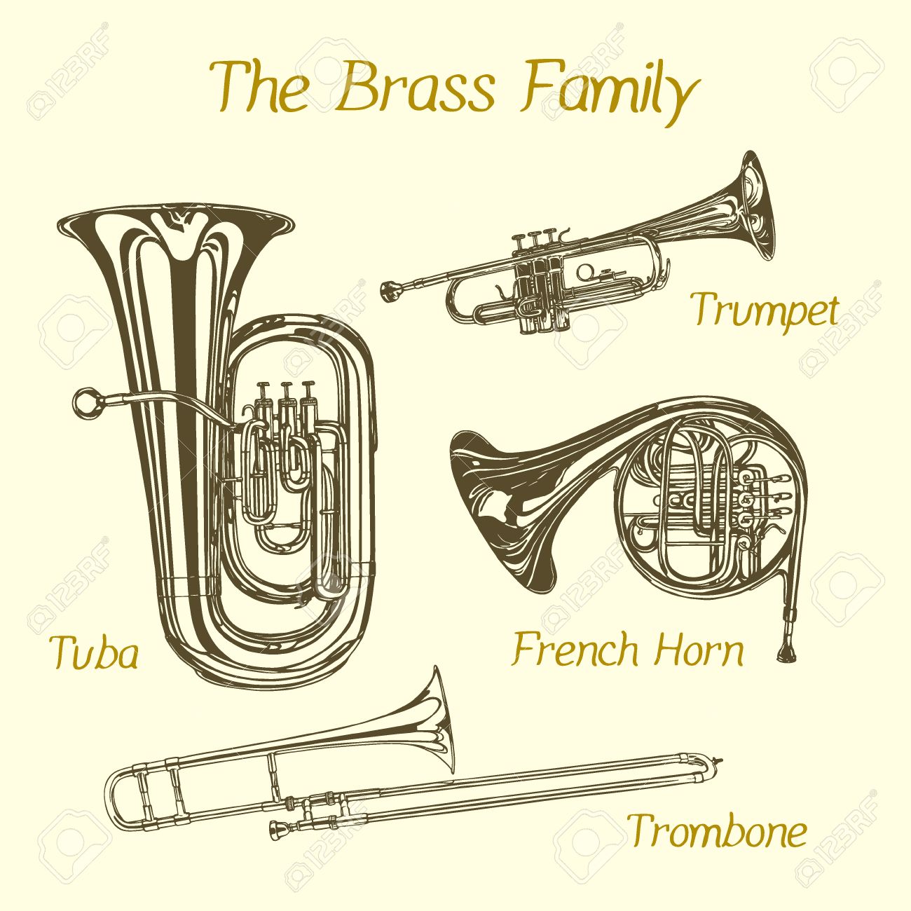 Vector illustration of hand drawn brass family instruments. Beautiful ink drawing of tuba, trumpet, trombone and french horn. - 51916209 Vector illustration of hand drawn brass family instruments. Beautiful ink drawing of tuba, trumpet, trombone and french horn. - 51916209