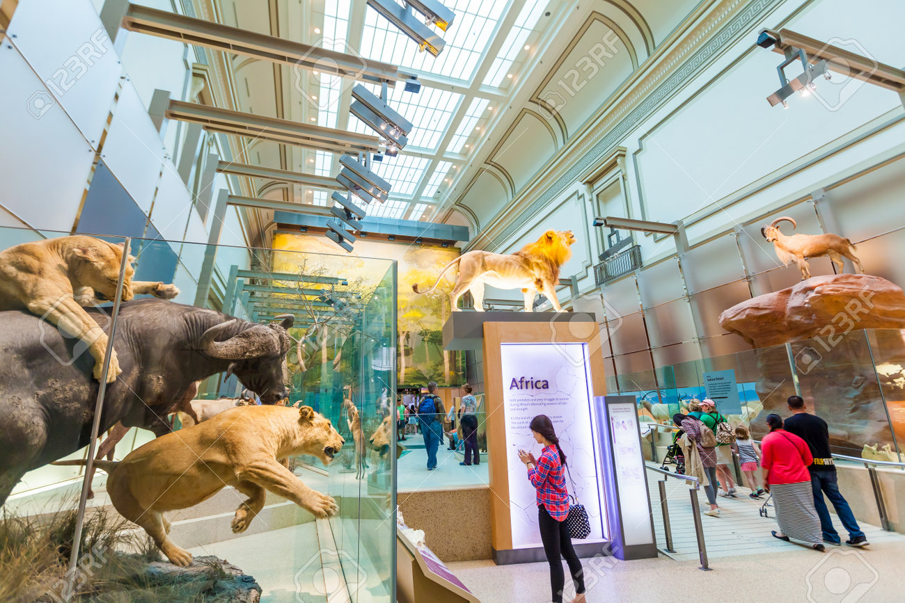 ワシントン Dc 4 月 10 日 インテリアの国立自然史博物館 4 月 10 日 14 It は ナショナル モールでスミソニアン研究所によって管理される自然史博物館 の写真素材 画像素材 Image ワシントン Dc 4 月 10 日 インテリアの国立自然史博物館 4 月 10 日 14 It は ナショナル モールでスミソニアン研究所によって管理される自然史博物館 の写真素材 画像素材 Image