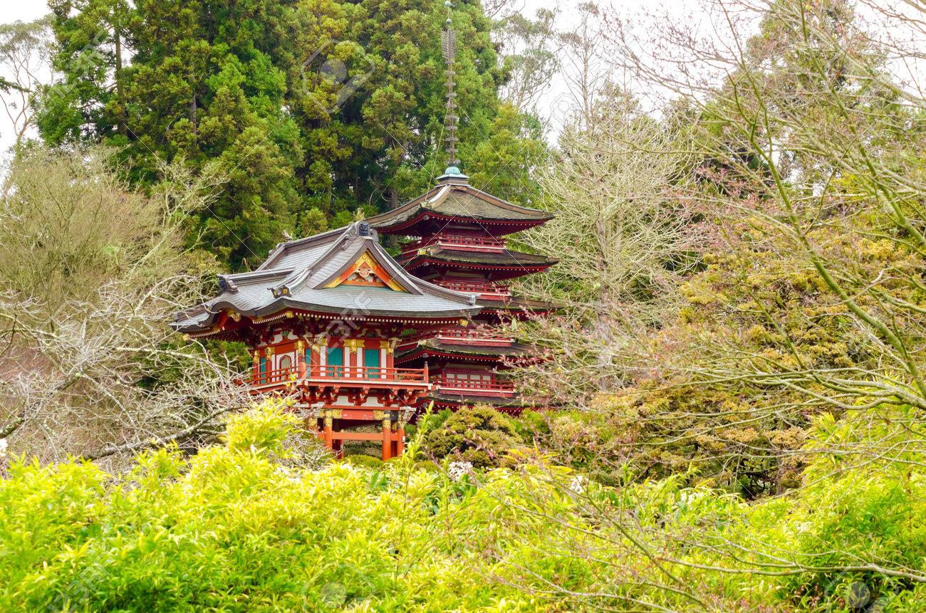 stock photo the japanese tea garden in golden gate park in san francisco california united states of america a view of the native japanese and chinese - Golden Gate Park Japanese Tea Garden stock photo the japanese tea garden in golden gate park in san francisco california united states of america a view of the native japanese and chinese - Golden Gate Park Japanese Tea Garden