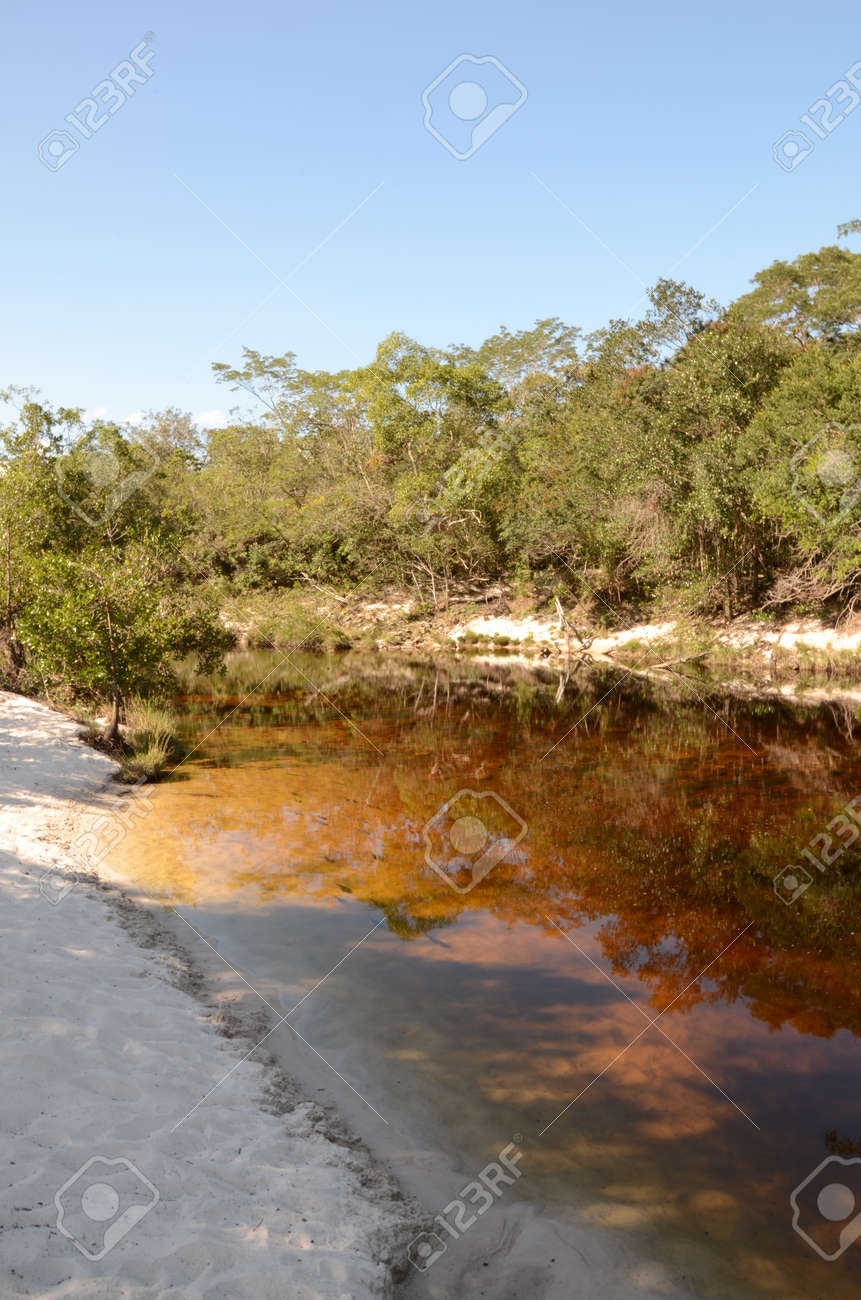 River with sand and fishes at Rio Preto State Park in Minas Gerais called Prainha (translate to little beach) - 151597502 River with sand and fishes at Rio Preto State Park in Minas Gerais called Prainha (translate to little beach) - 151597502